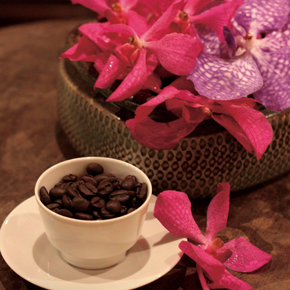 雛祭り-hinamatsuri-