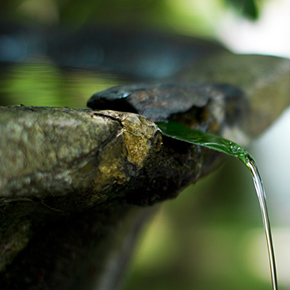 儚くて、美しい三日間