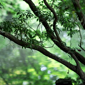 asymétrieを終えて