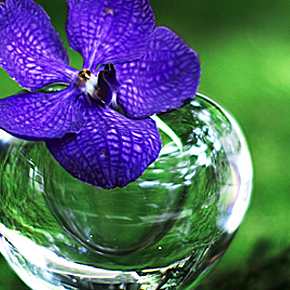 Photo at asymétrie 02