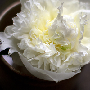 Photo at asymétrie 01