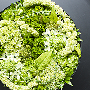 studio2065 Shop Card