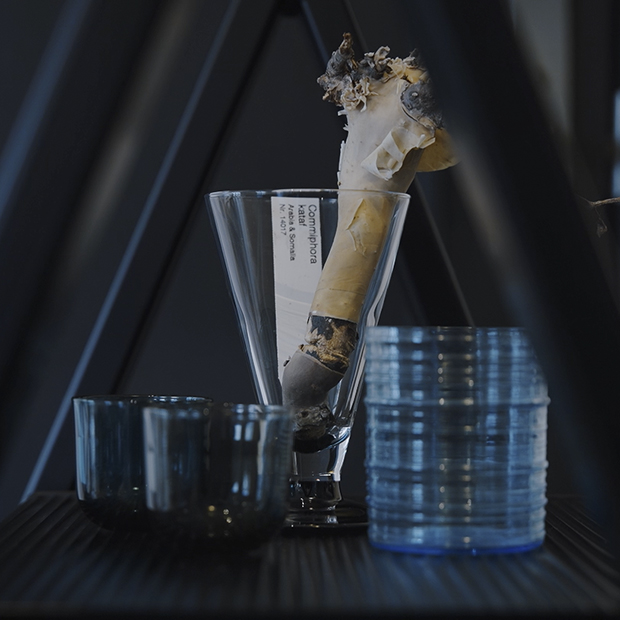 WEBリニューアル